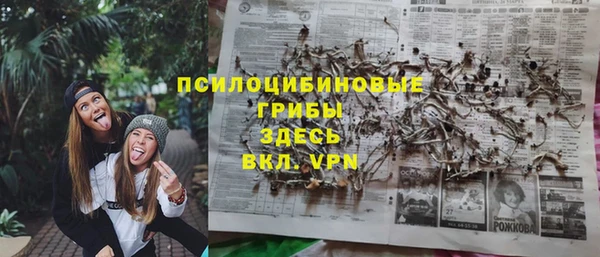 шишки Армянск