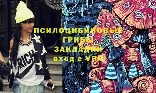 шишки Армянск